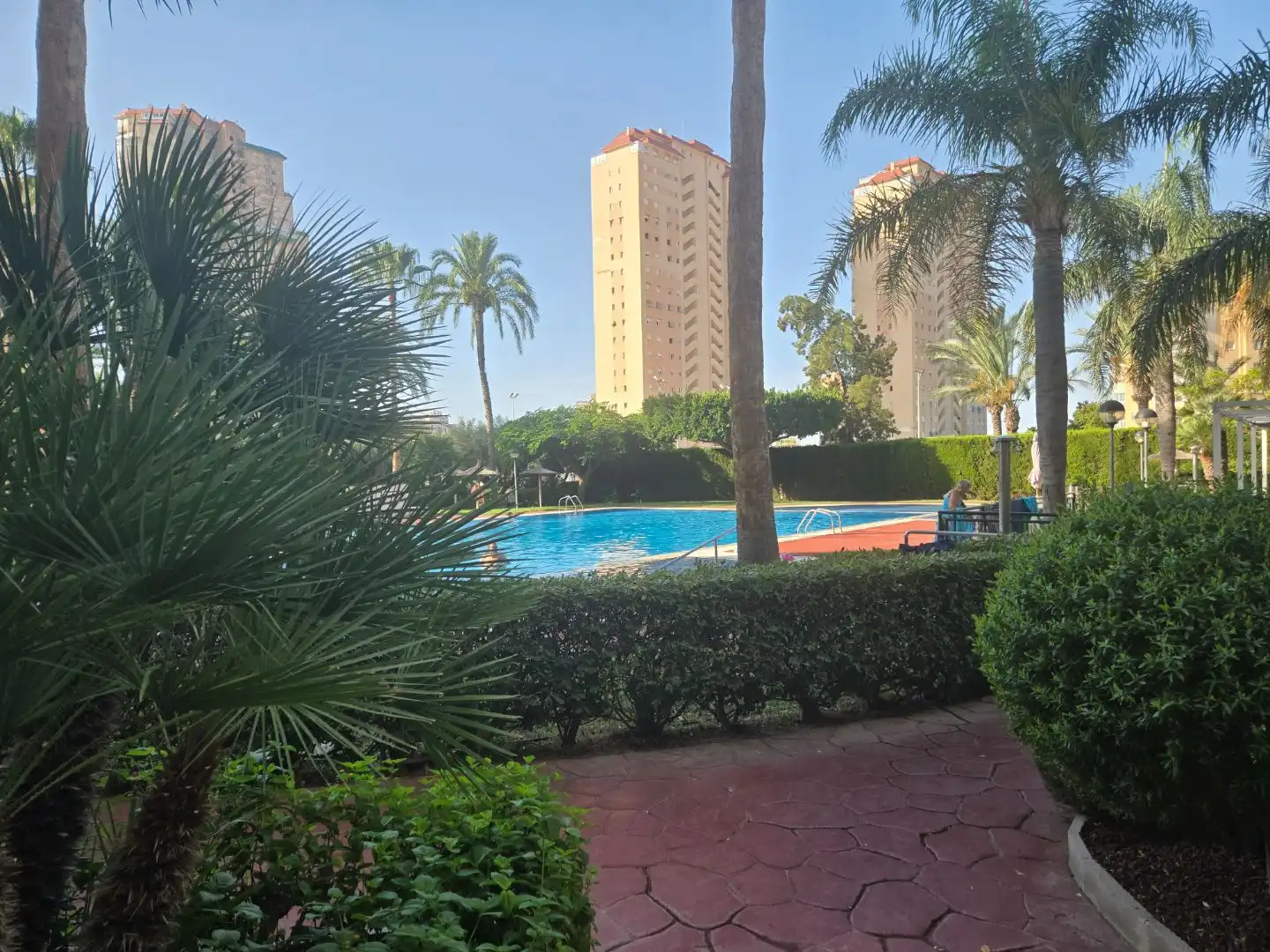 Swimming pool of Flat for sale in Playa Muchavista