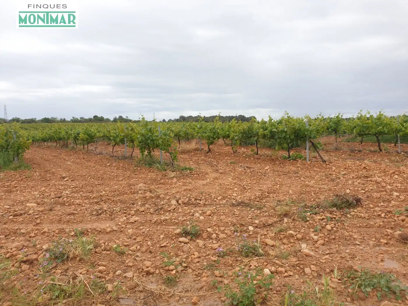 Finca rústica en venda en El Pla de Santa Maria