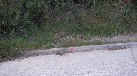 Tres terrenos unidos en la misma isleta, immagine 4