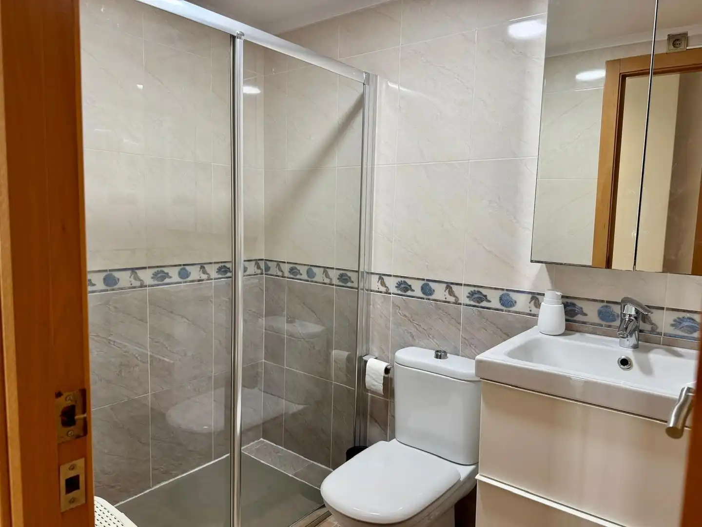Bathroom of Apartments for rent in Alicante / Alacant  with Air Conditioner, Furnished and Community pool