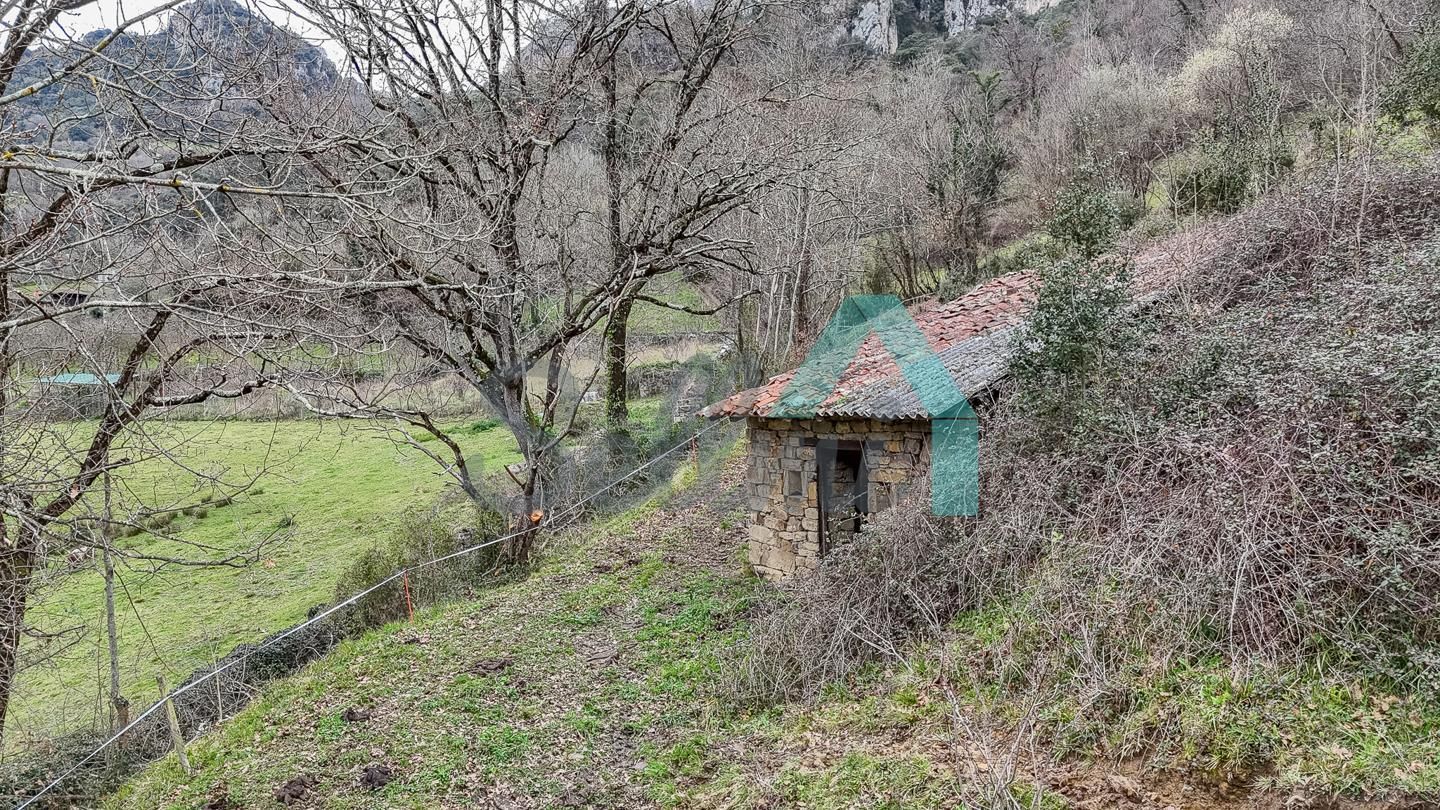 Country house for sale in Proaza  with Private garden