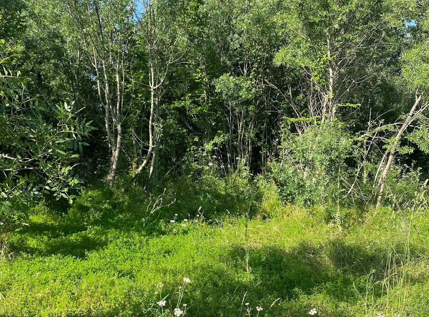 Casa o chalet en venta en Sotosalbos con Aire acondicionado y Calefacción