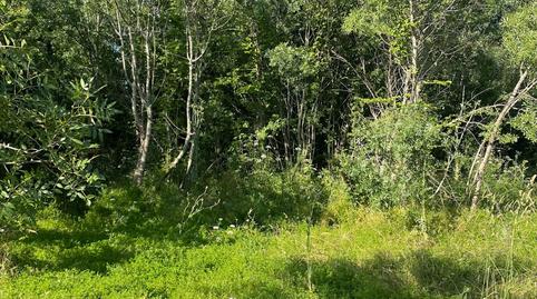 Foto 4 de Casa o xalet en venda a Camino Pelayos, Sotosalbos, Segovia