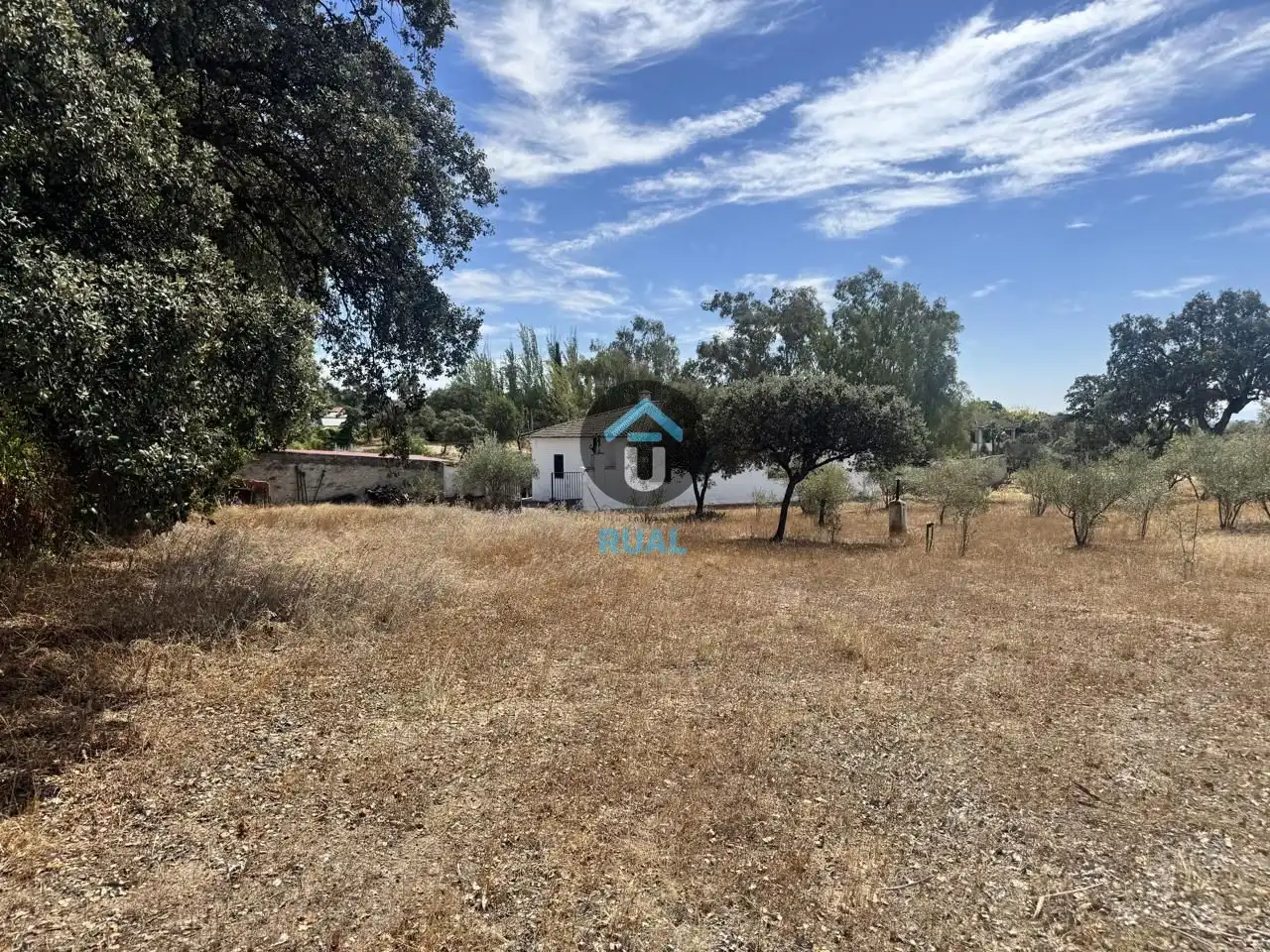 Haus mit Garten zum Verkauf in Calle del Cabo de Rosas, imagen 29