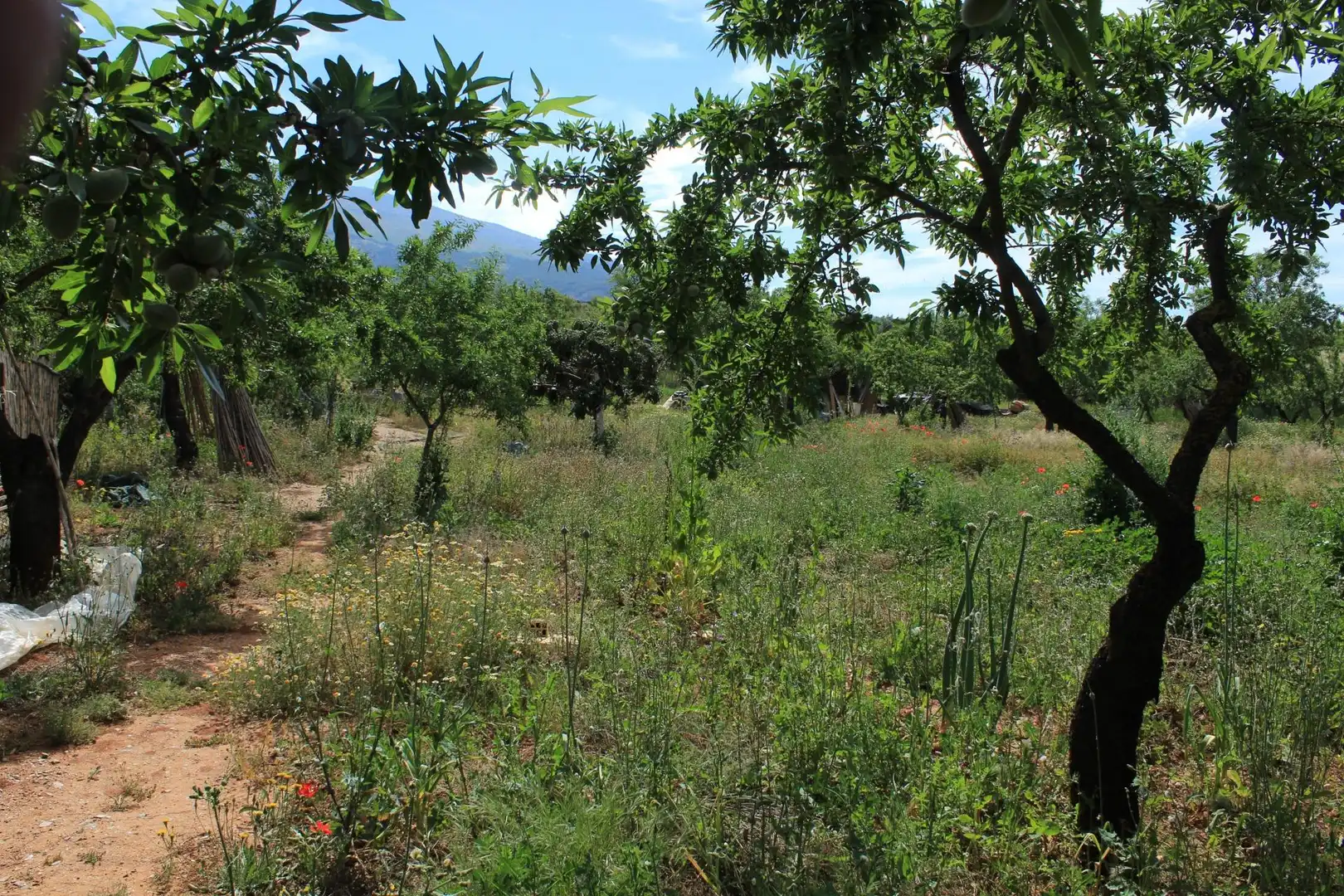 Terreno en venta en Nigüelas