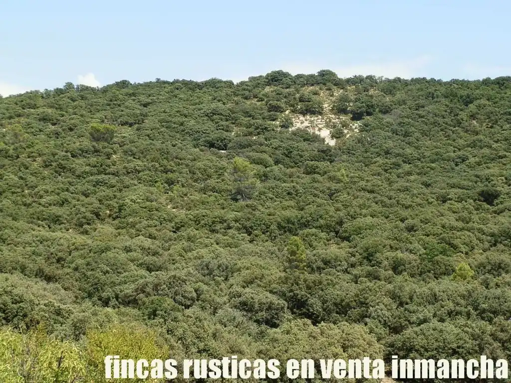 Rustikales Grundstück zum Verkauf in Alcocer, imagen 18