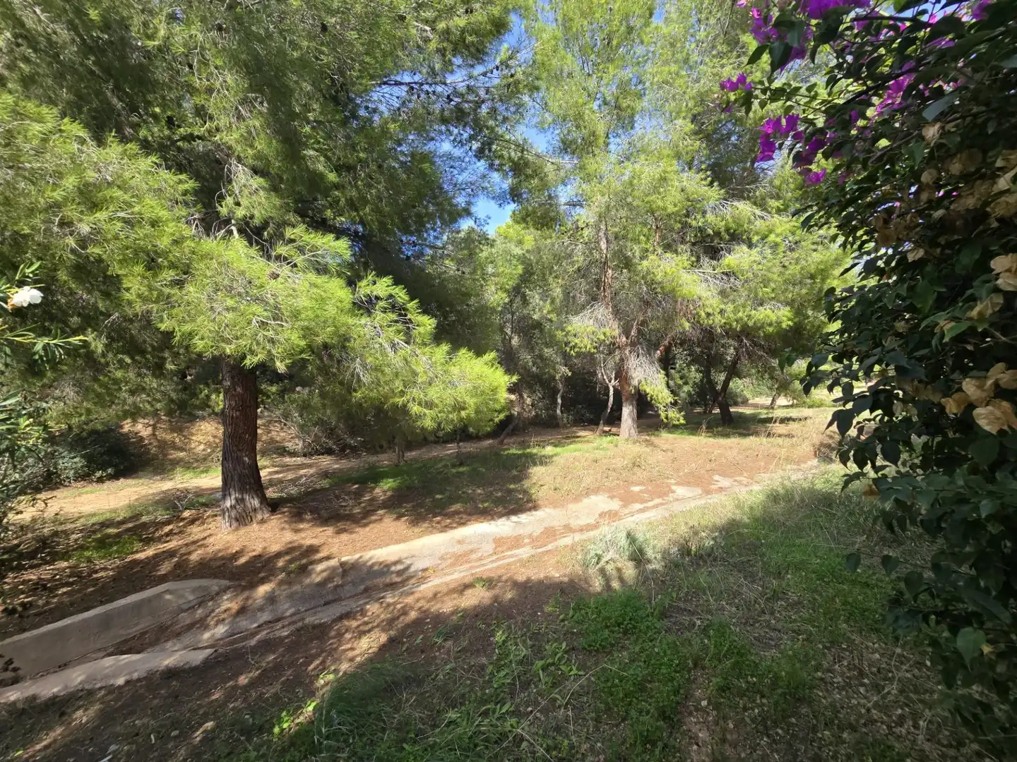 Pis en venda en Calvià amb Aire condicionat, Jardí privat i Terrassa