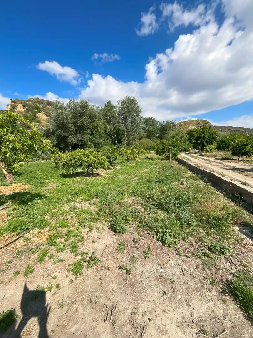 Terreni e lotti in vendita a Andalucia, imagen 7