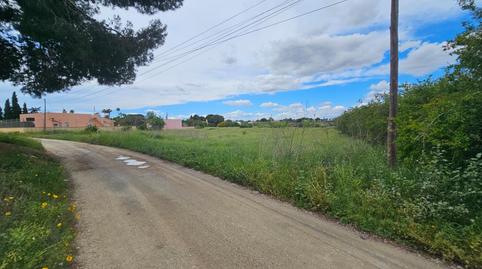 Foto 5 de Residencial en venta en Partida Valverde Bajo, 9014, Valverde, Elche / Elx