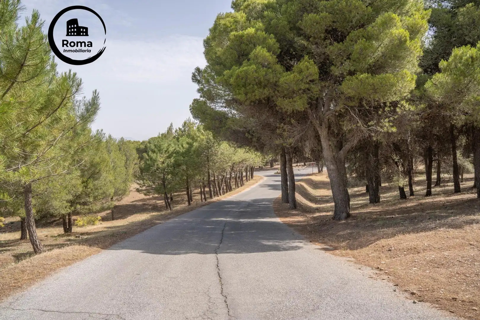 Vista exterior de Casa o xalet en venda en La Zubia amb Aire condicionat, Calefacció i Jardí privat