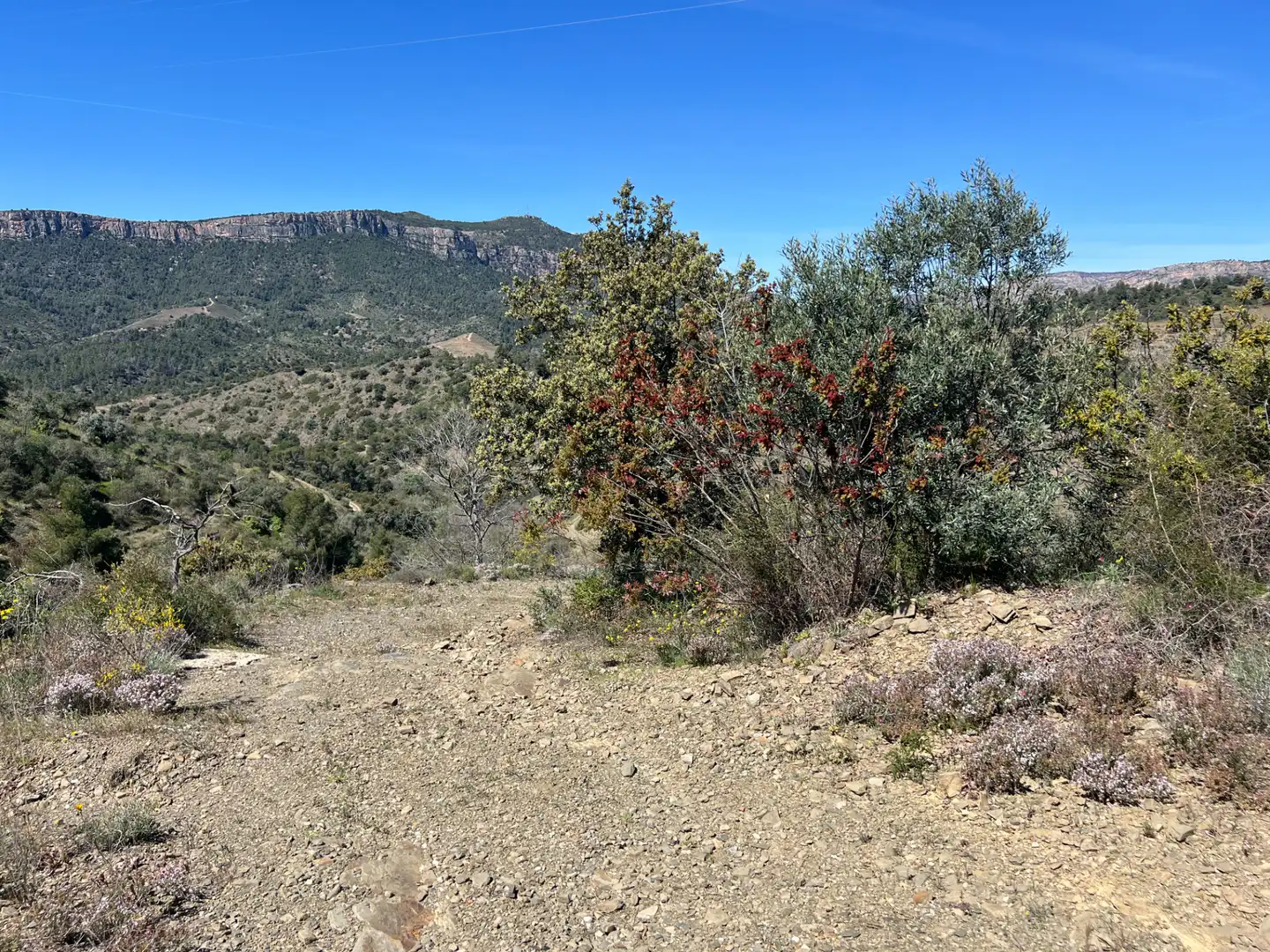 Rural land for sale in Gratallops, imagen 12