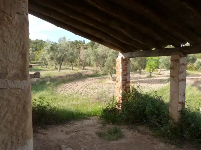 Garden of Country homes for sale in Valjunquera
