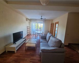 Sala d'estar de Dúplex en venda en Ciudad Real Capital amb Aire condicionat, Calefacció i Parquet