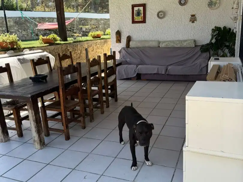 Villa mit Pool zur Miete in C/ montanejos 9, imagen 9