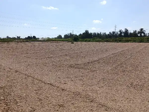 Terrain rustique à vendre à Benejúzar, imagen 9