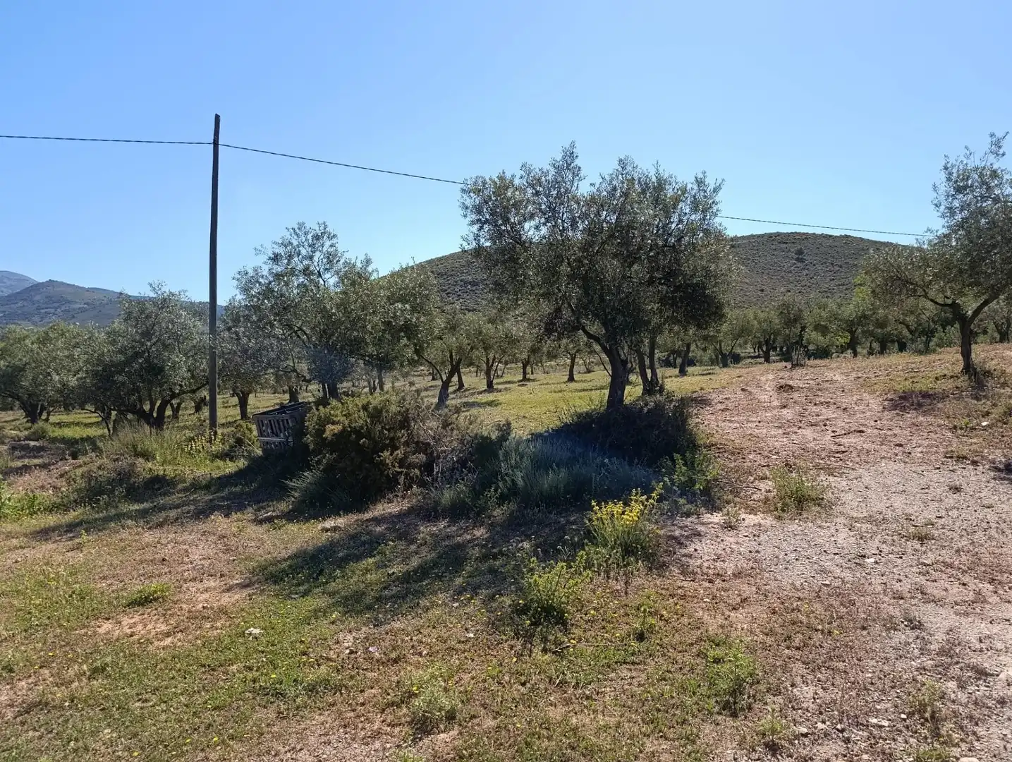 Rural land for sale in Laujar de Andarax, imagen 8