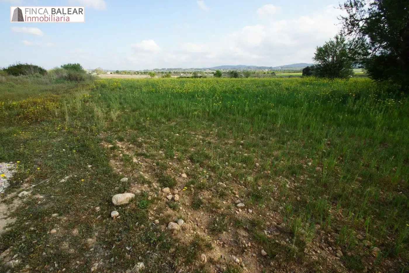 Terreno rustico in vendita a Algaida, imagen 5
