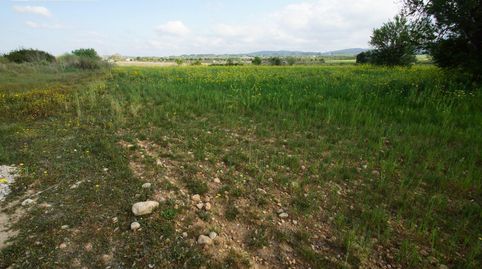 FINCA RUSTICA UBICADA EN ALGAIDA CON PROYECTO Y LICENCIA CADUCADA PARA EDIFICAR UNA VIVIENDA EN PL, immagine 5