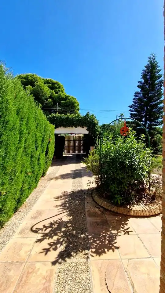 Jardí de Casa o xalet de lloguer en Náquera