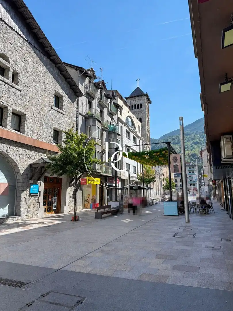 Local comercial de lloguer a Avinguda Carlemany, imagen 2