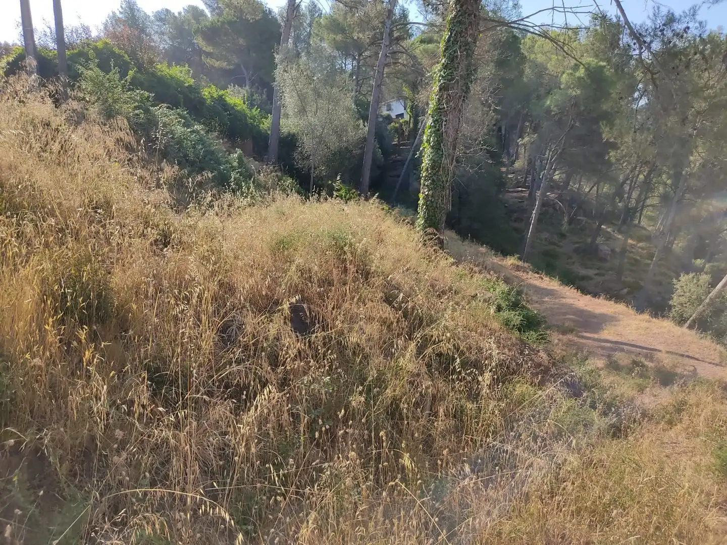 Residential for sale in Castellví de Rosanes