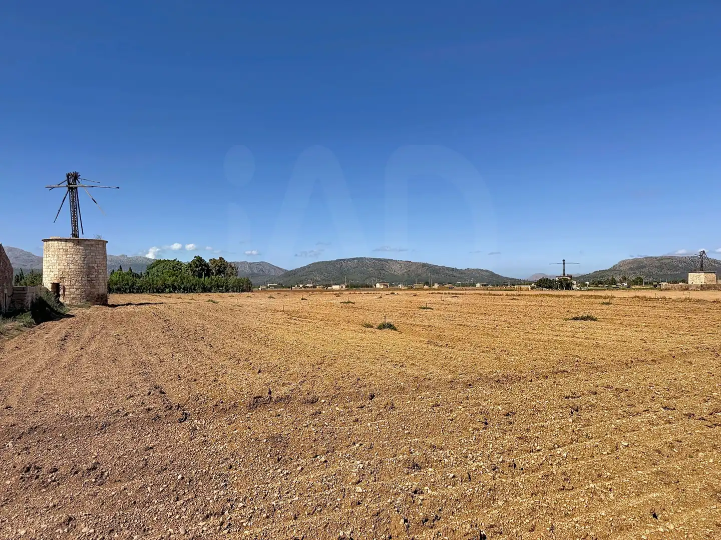 Terrain rustique à vendre à Sa Pobla, imagen 5