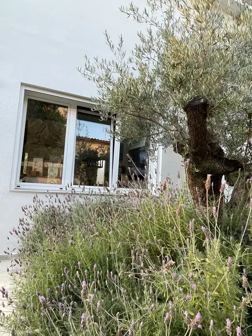 Jardí de Casa o xalet en venda en Sant Cugat del Vallès amb Aire condicionat, Piscina i Balcó
