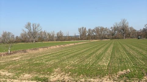 Foto 5 de Terreno en venta en Arrúbal, La Rioja