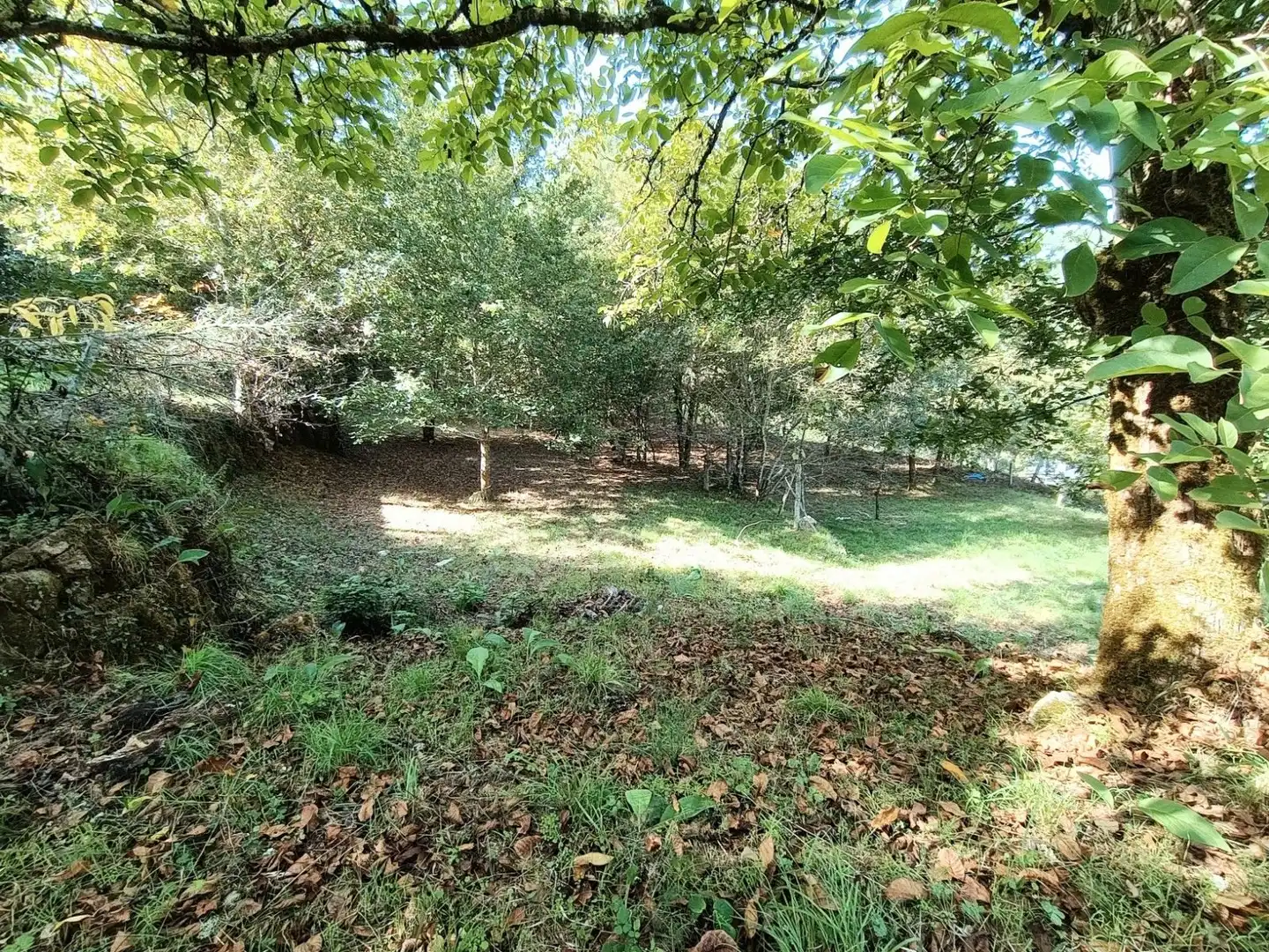Casa o xalet en venda en Padrenda