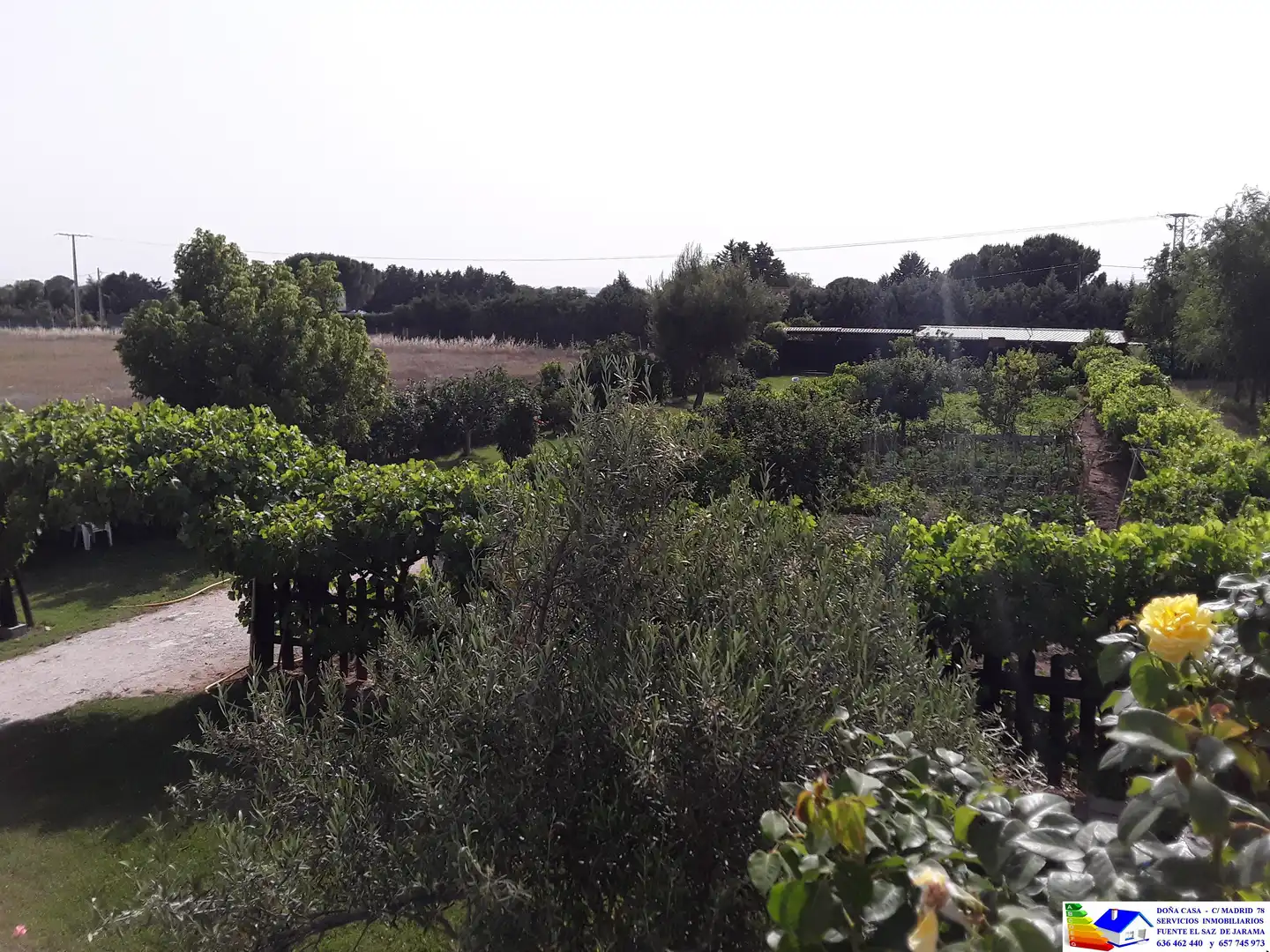 Casa o chalet en venta en Fuente El Saz de Jarama con Aire acondicionado, Calefacción y Jardín privado