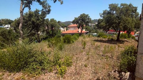 Parcela de 1.200 m2 en Lloret de Mar, imatge 5