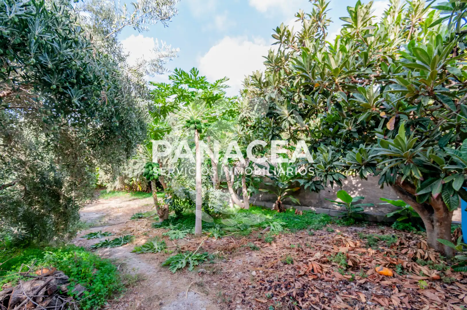 Finca rústica en venta en Vícar Pueblo