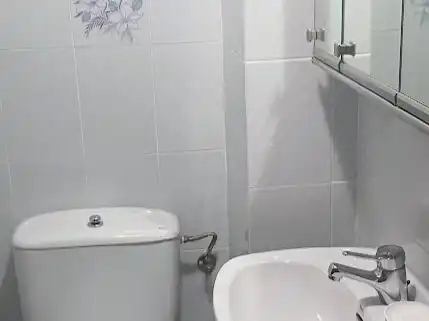 Bathroom of Flat for rent in Centro
