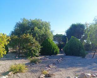 Jardí de Finca rústica de lloguer en Riudoms