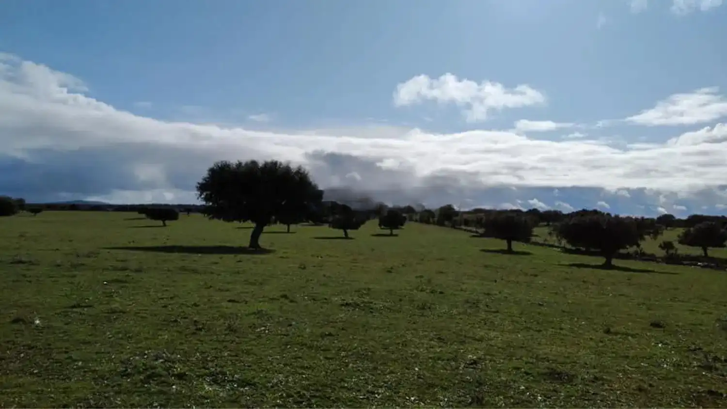 Land for sale in Vistahermosa