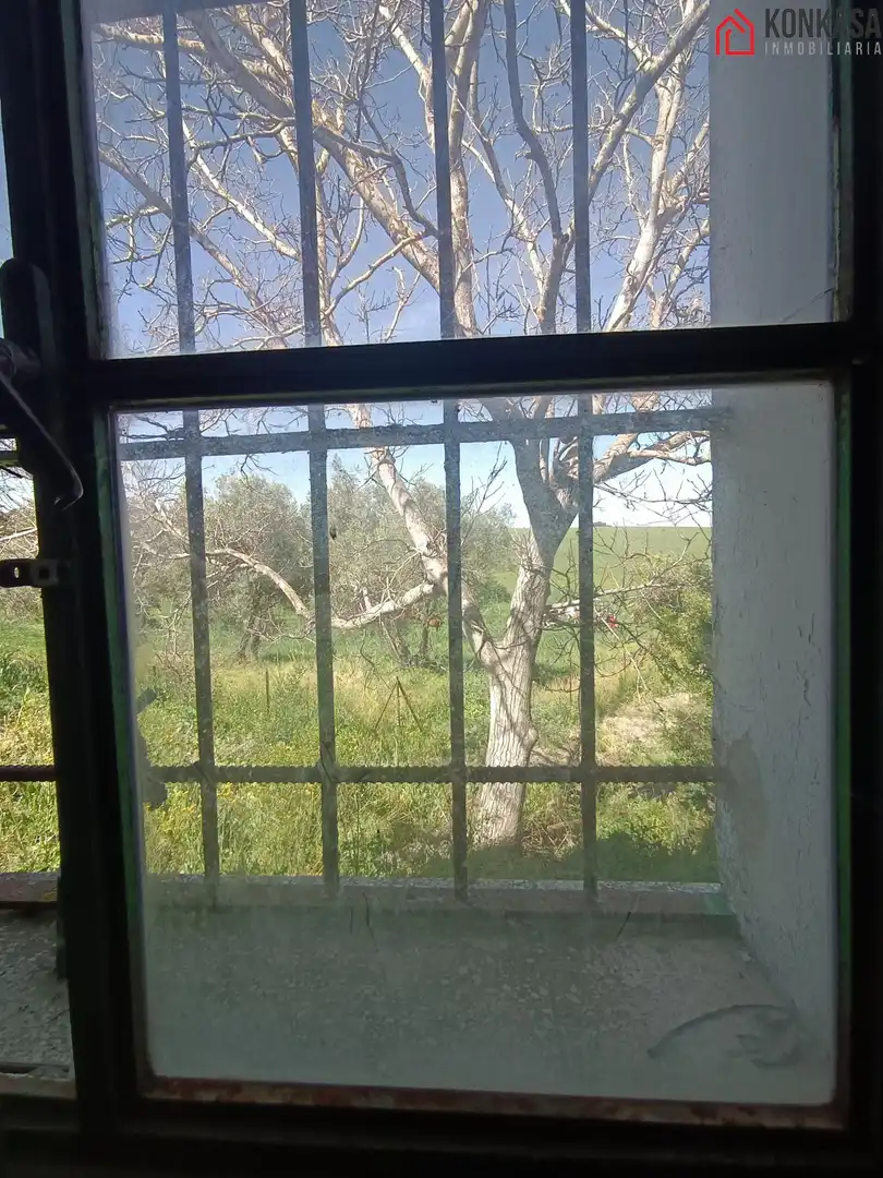 Casa rústica en venda a Arcos de la Frontera, imagen 17