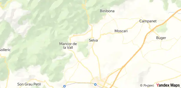 Vista exterior de Finca rústica en venta en Selva