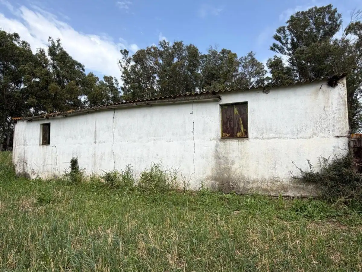 Vista exterior de Finca rústica en venta en Jimena de la Frontera con Terraza