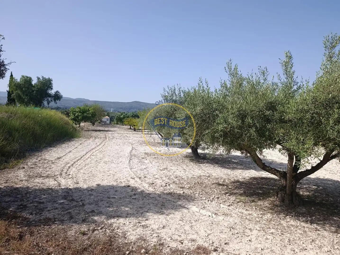 Terrain rustique à vendre à Sant Josep - Zona Hospital, imagen 4