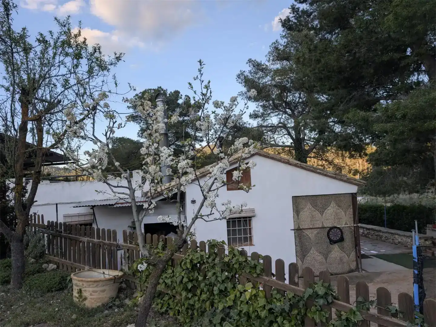Vista exterior de Casa o chalet en venta en Ibi con Piscina