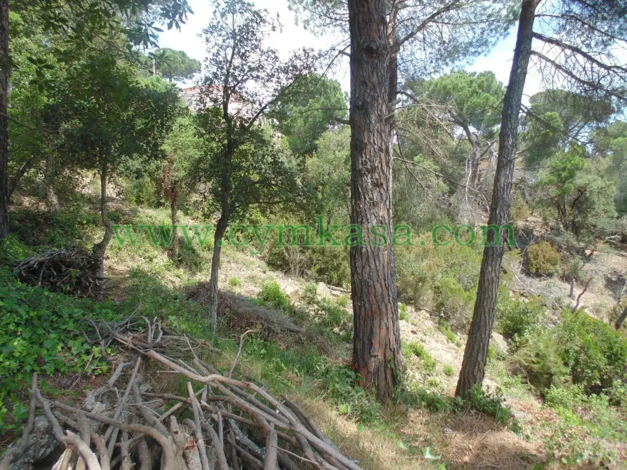 Rustikales Grundstück zum Verkauf in Serra Brava