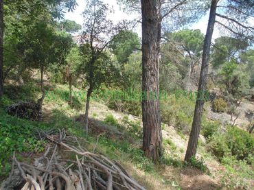 Rustikales Grundstück zum Verkauf in Serra Brava