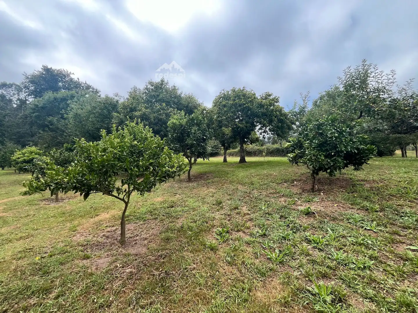 Rural land for sale in Covelo, imagen 22