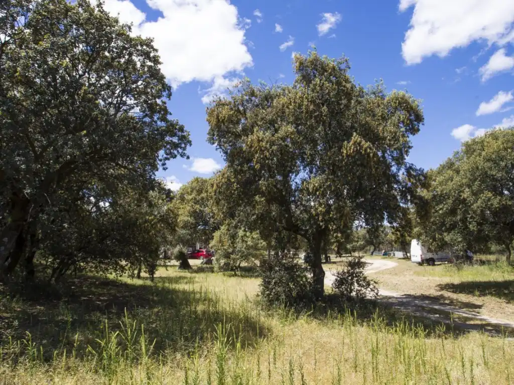 Finca rústica en venda en Navalcarnero