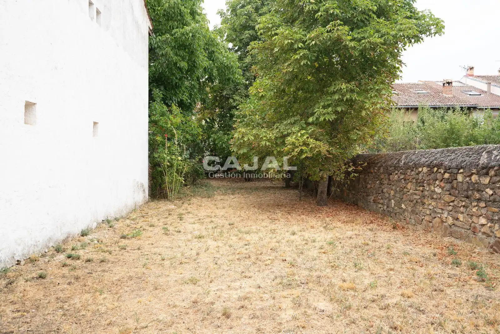 Land for sale in Riaza