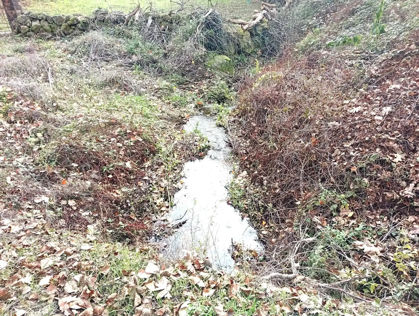 Terreni e lotti in vendita a Viandar de la Vera, imagen 29