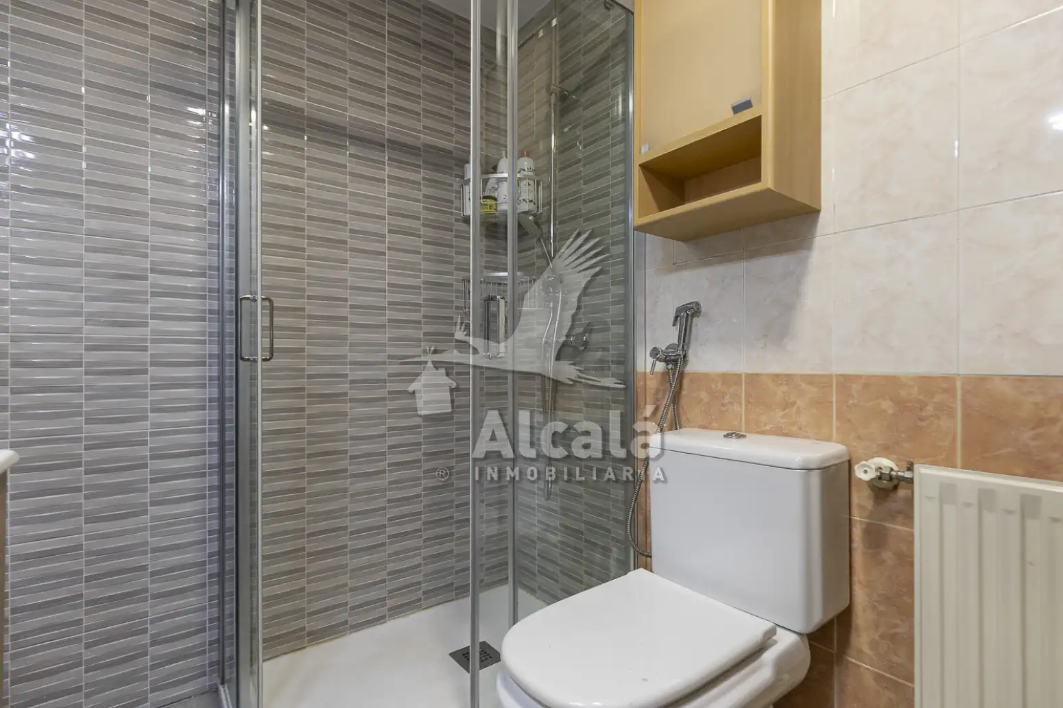 Baño de Casa o chalet en venta en La Garena