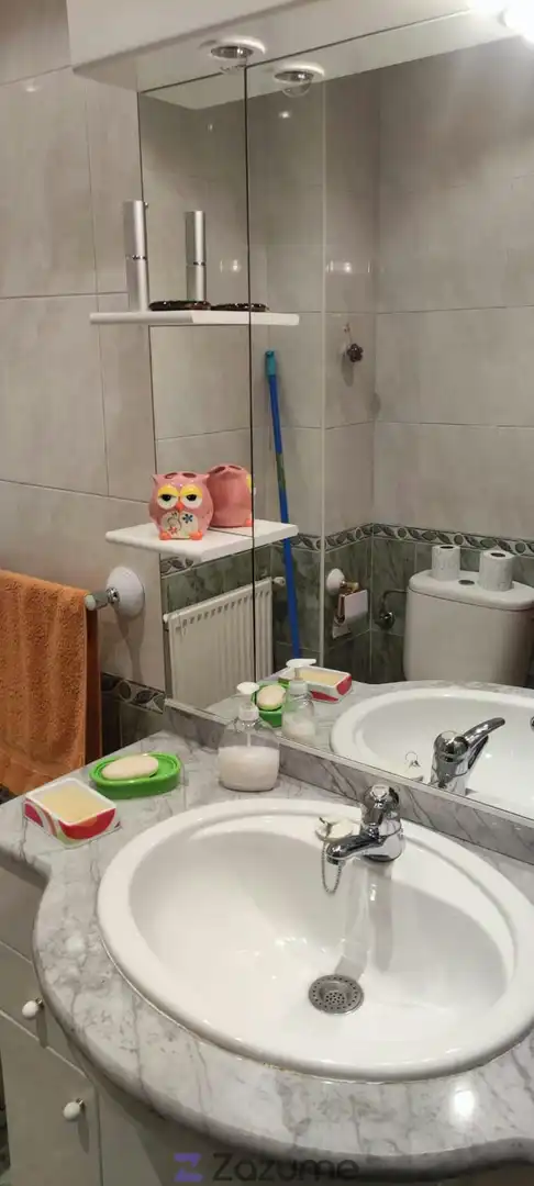 Bathroom of Apartments for rent in León Capital   with Parquet flooring, Storage room and Furnished