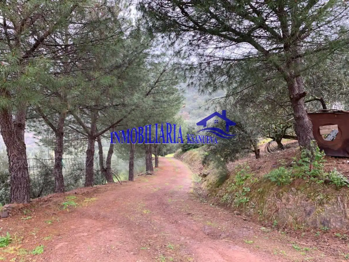 Casa rústica en venda a Periurbano Este - Campiña, imagen 12