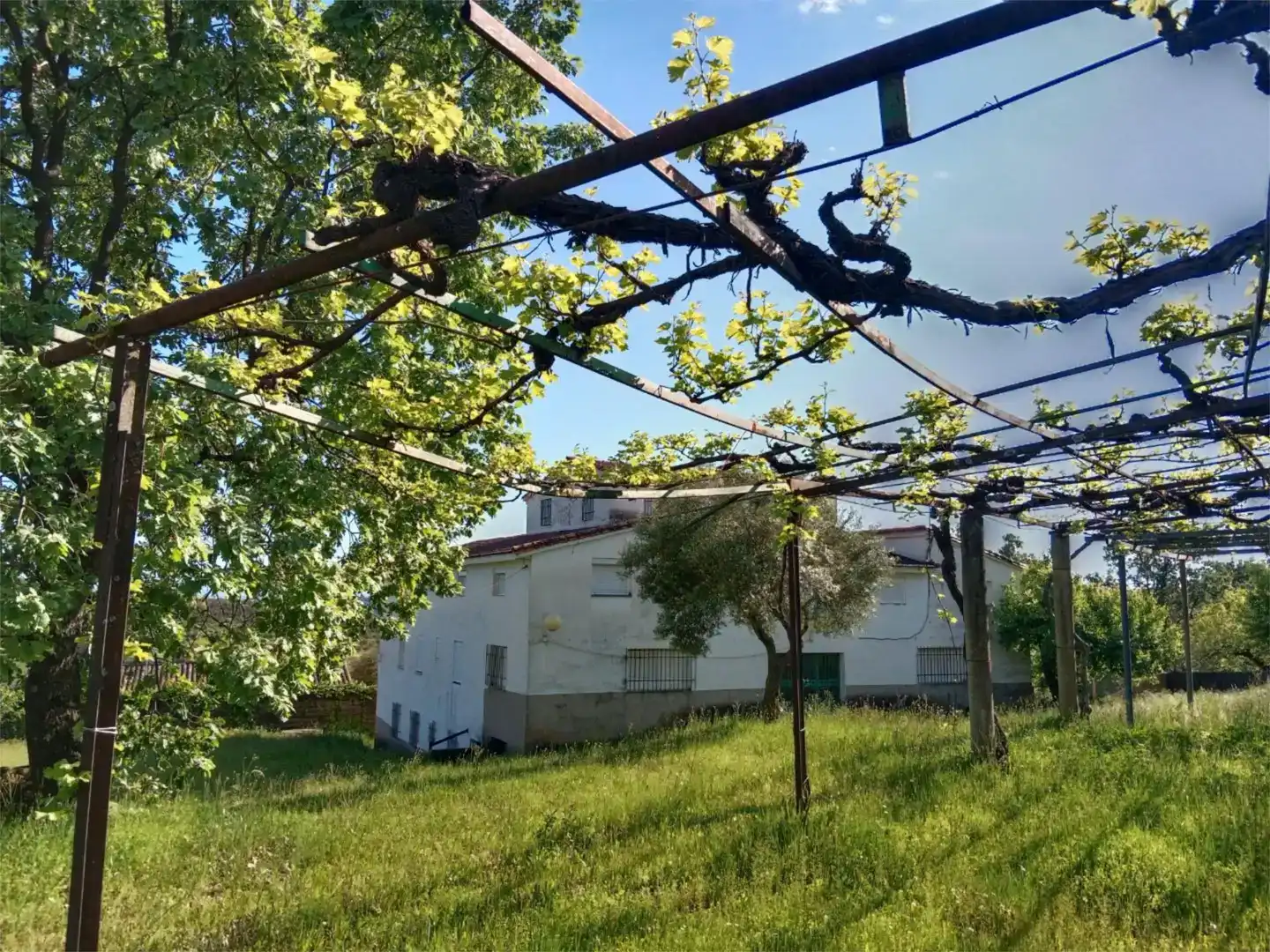 Jardín de Piso en venta en Candeleda con Jardín privado, Trastero y Amueblado